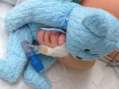 photo of baby’s teddy bear