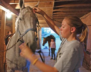 Equestrian Club