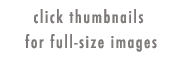 click on thumbnails