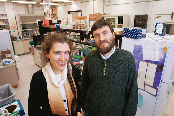 gorbunova and seluanov