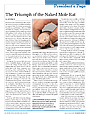 pdf image