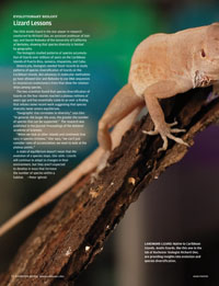 pdf image