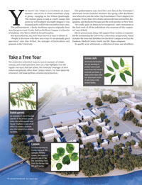 pdf image