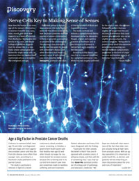 pdf image