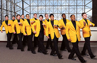 yellowjackets