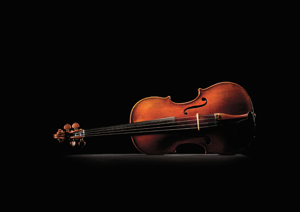 viola