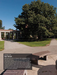 pdf image