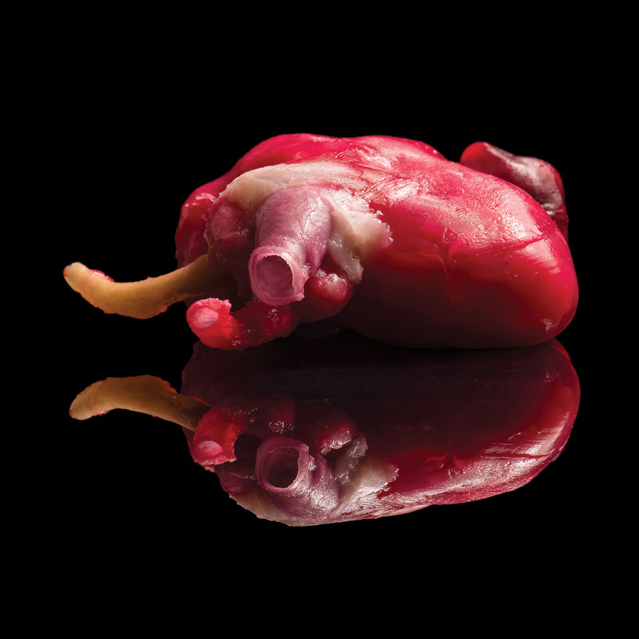 3-d printing and clinical medicine