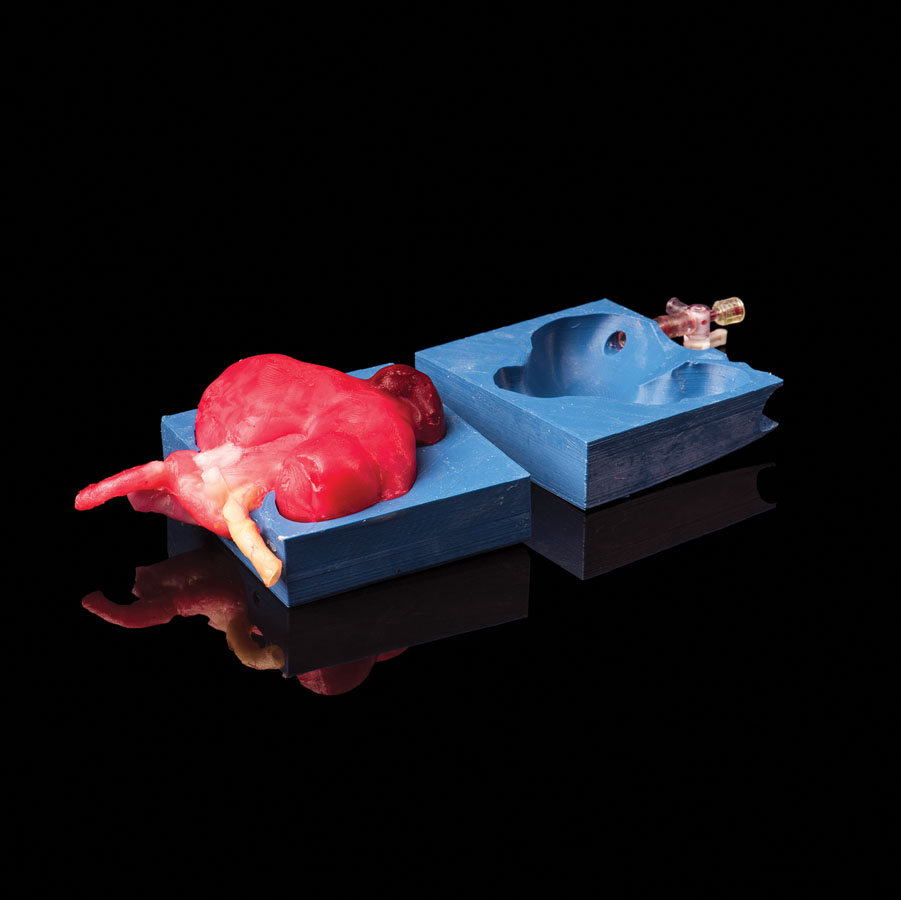 3-d printing and clinical medicine