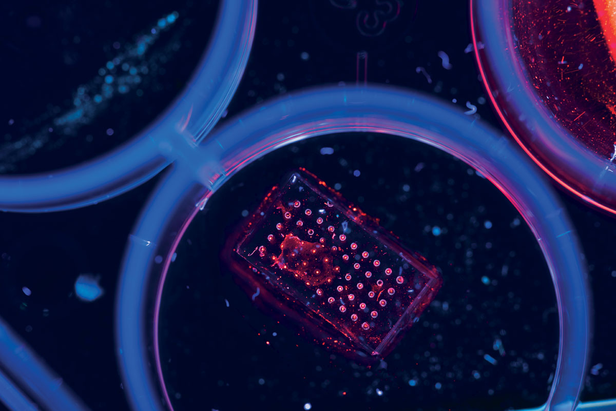 microbubbles