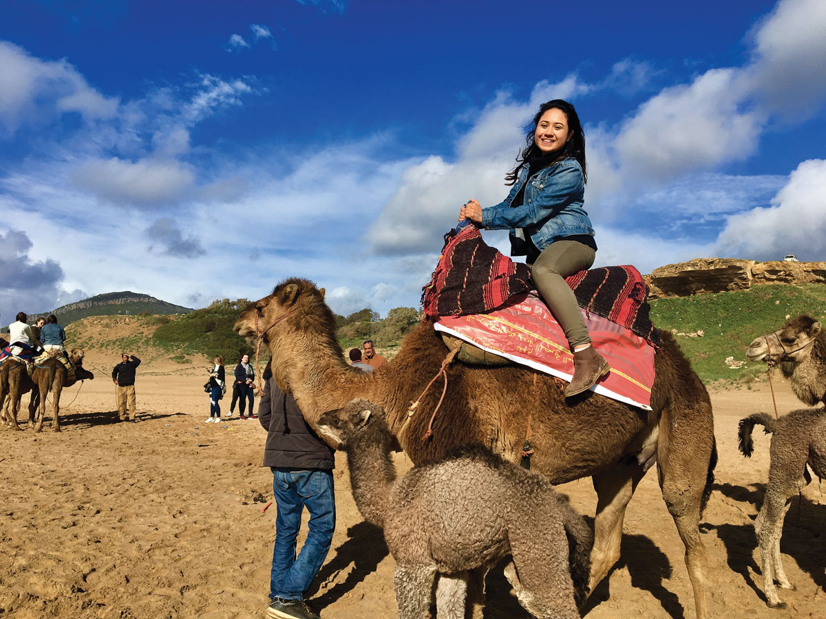 Visit 18. Camel riding. Ride a Camel. Camel riding School. Ride a Camel historical.