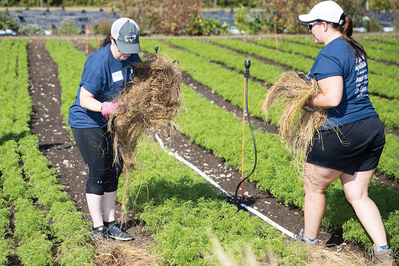 photo of volunteers in Concord