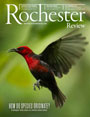 Cover of the Rochester Review, October 2024 edition.