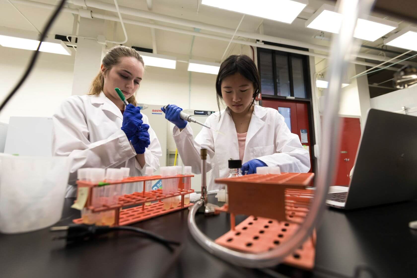 Two students working together and holding test tubes in a University of Rochester lab.