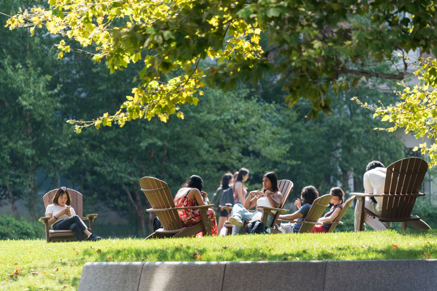 People relaxing in wooden Adirondack chairs on a grassy slope in a park, surrounded by green trees and dappled sunlight.