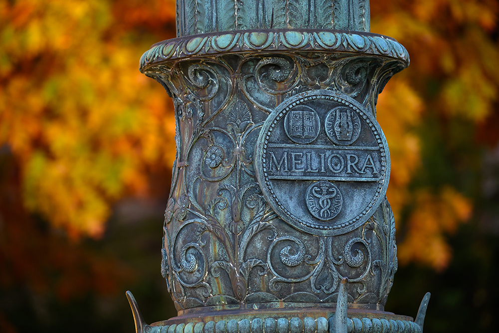 A close up of the Melilla shield on a University lamp post with fall foliage in the background.