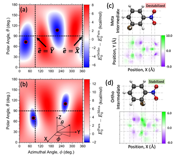 Polariton Modified Reactions.