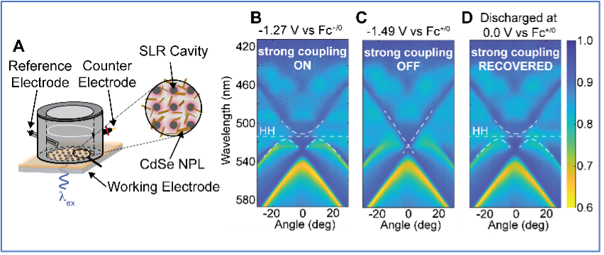 Polariton Spectroelectrochemical Control.