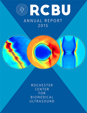 2015 annual Report Cover