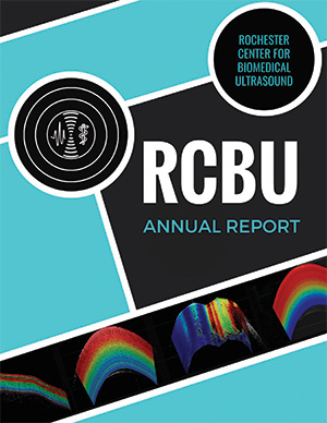2016 annual report cover