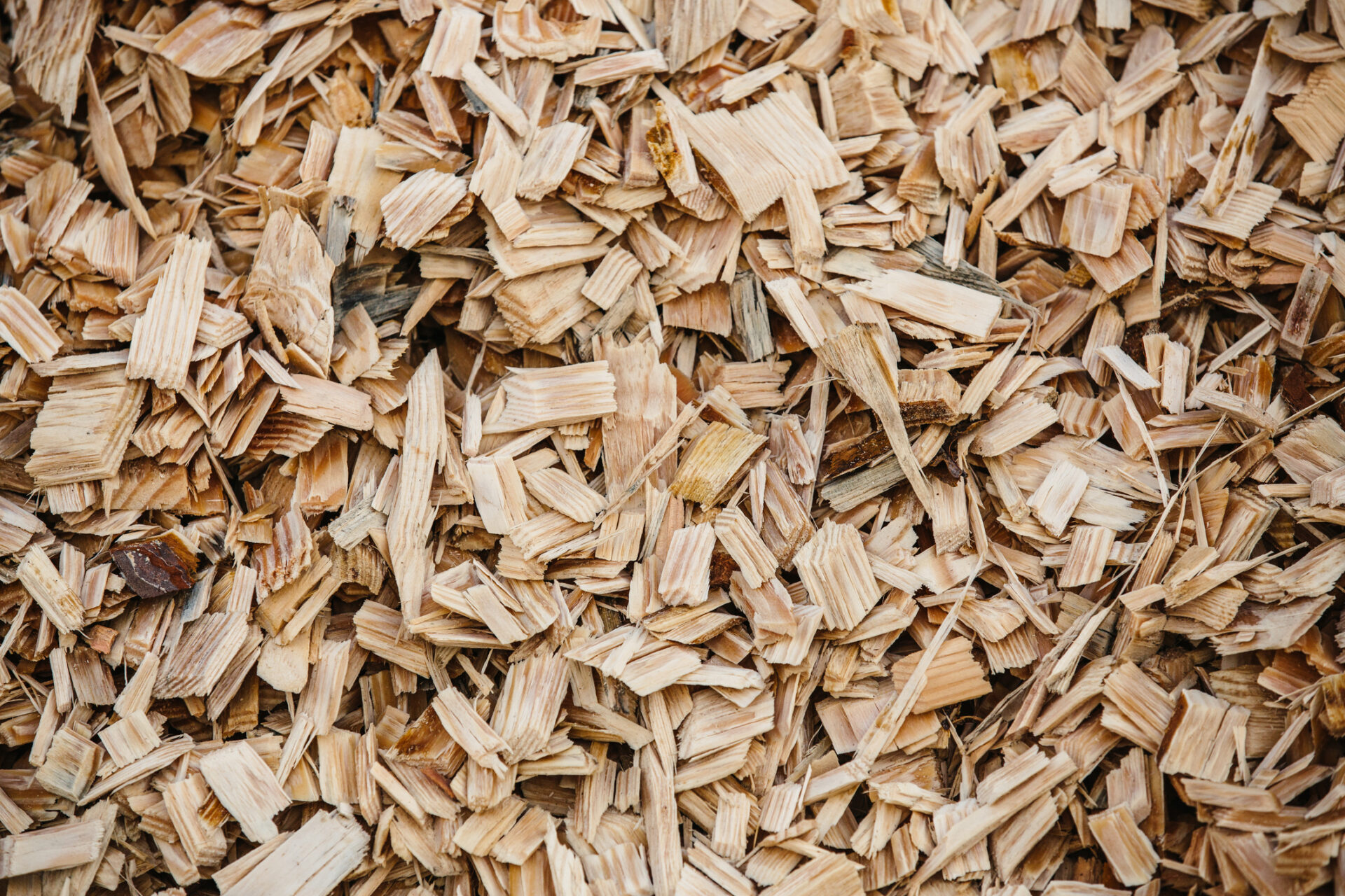 A pile of wood chips