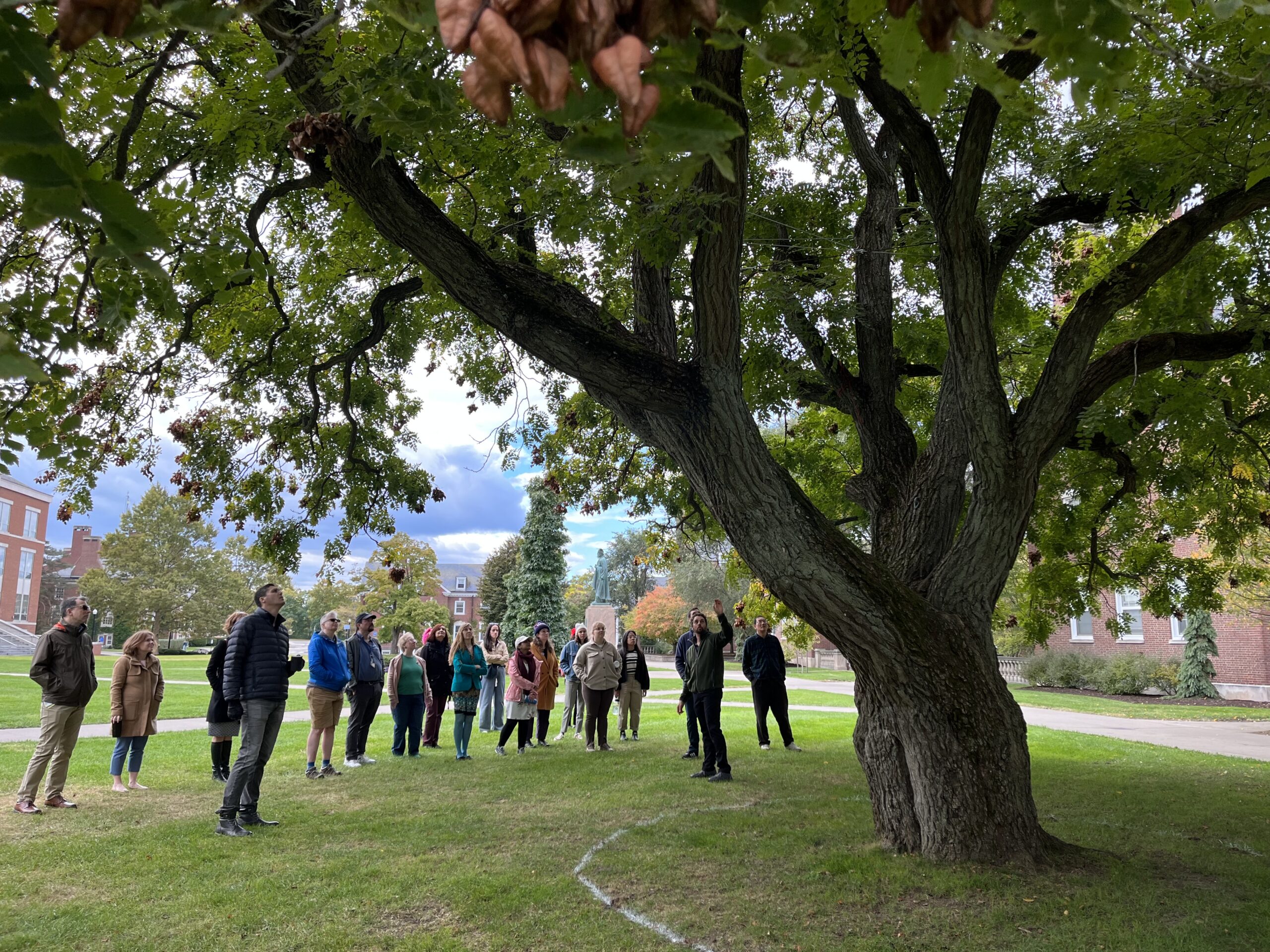 Employees participate in a tree tour as part of the Green Reps program’s Teas and Trees event.
