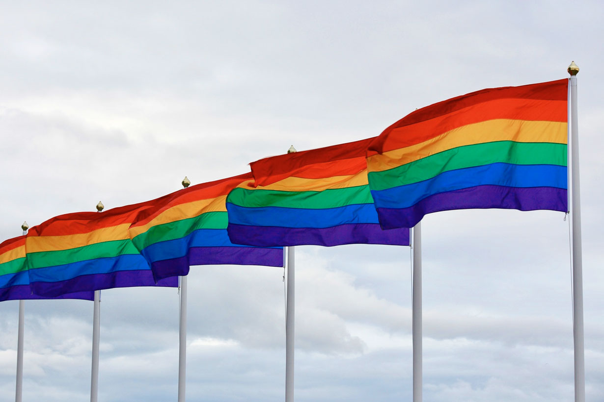 Row of pride flags flying