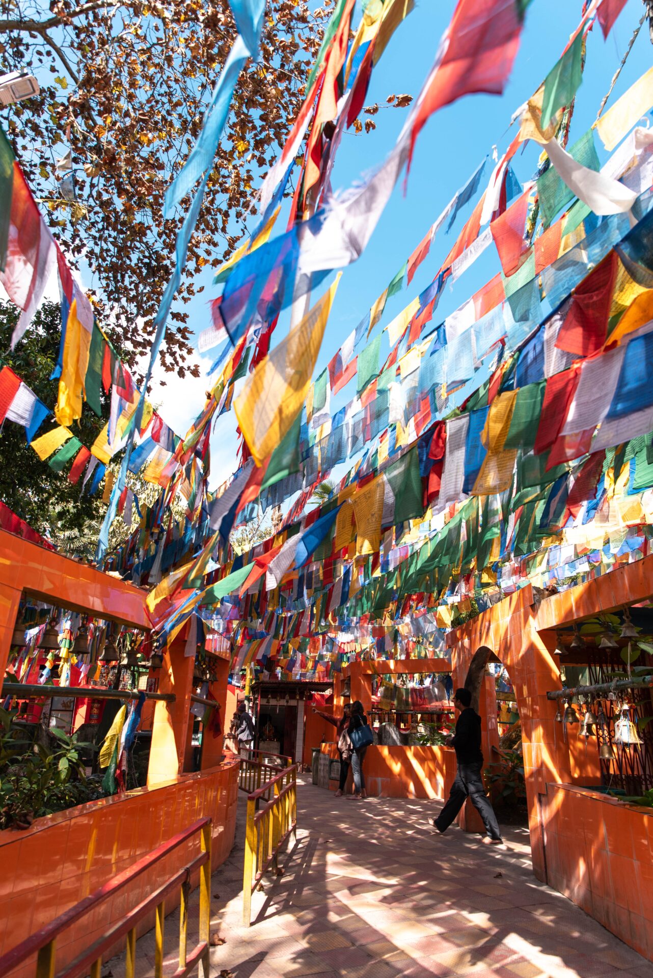 Garland with various flags hung outside across a sunny courtyard