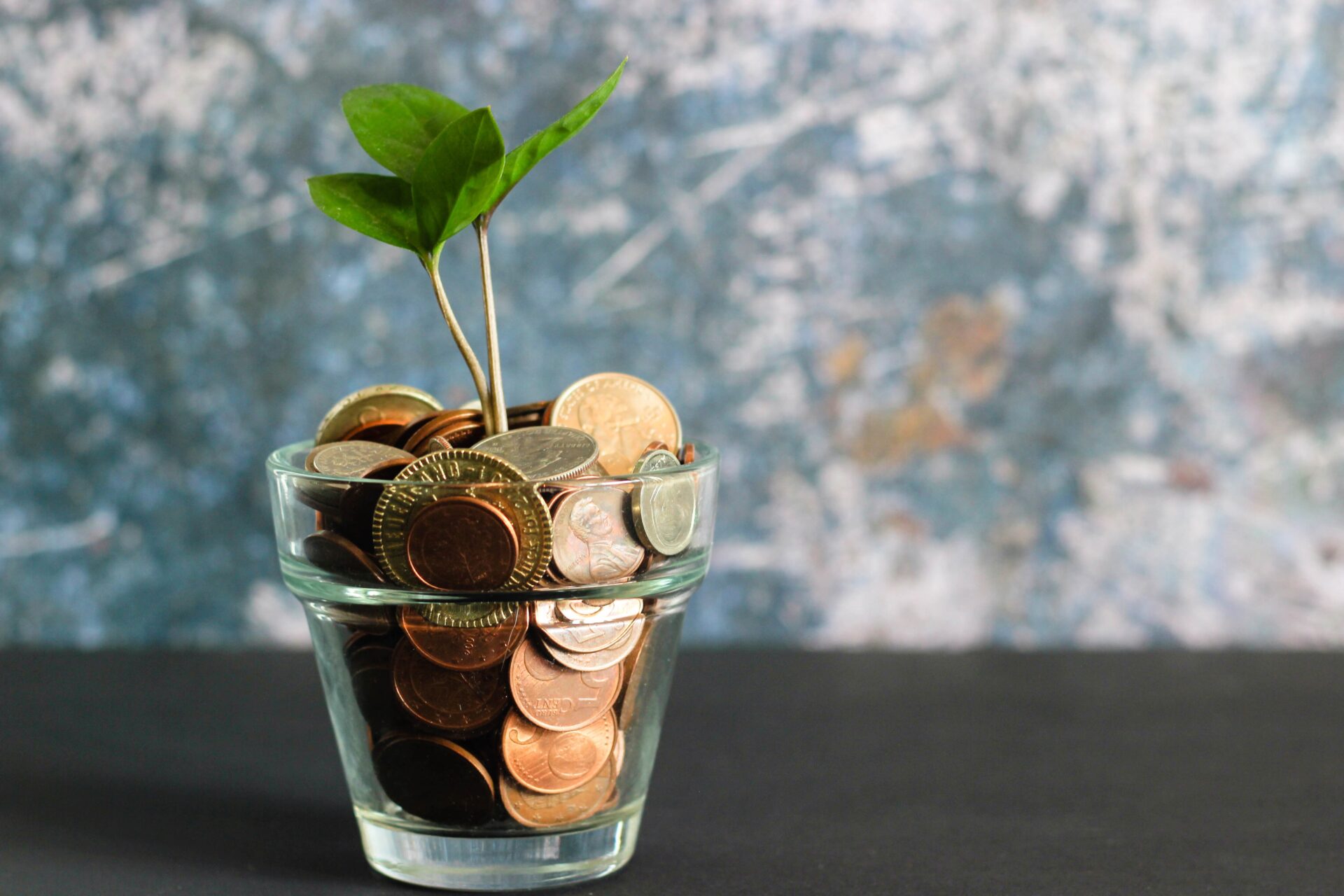 Glass cup filled with coins with a plant sprouting from the middle