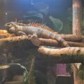 full_kmerancy_1731016950_3