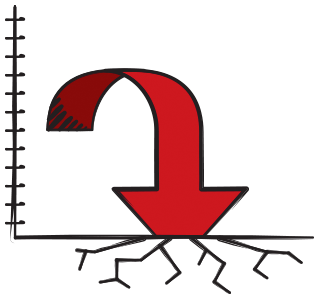 Interest Rate Risk
